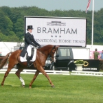 Sultan dressage Bramham2