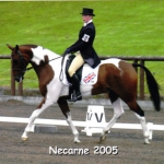 toby necarne dressage