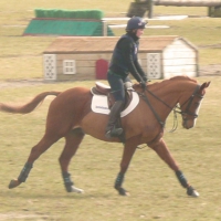 xc schooling somerford